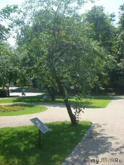 Тарасова гора в Каневі подорожі по світу - жіноча соціальна мережа (Канів) Тарасова гора в Каневі подорожі по світу - жіноча соціальна мережа