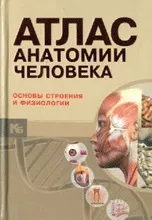 Тіло людини
