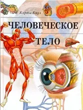 Тіло людини