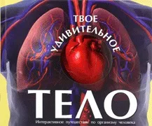 Тіло людини