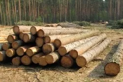 Технологія складання зрубу з оциліндрованих колод переваги і недоліки (зрубу) Технологія складання зрубу з оциліндрованих колод достоїнства і недоліки