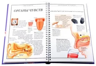 Тіло людини