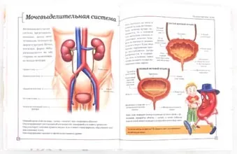 Тіло людини