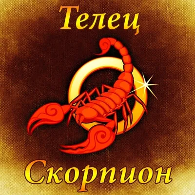 Телець і на тілець і скорпіон чоловік сумісність - астрологія