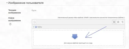 Технічна документація як відредагувати свій профіль (відредагувати) Технічна документація як відредагувати свій профіль