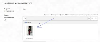 Технічна документація як відредагувати свій профіль (технічна документація: як відредагувати свій профіль) Технічна документація як відредагувати свій профіль