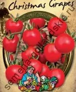 Томат сорт - Марманд - (marmande) 10 насінин (сорт) Томат сорт - Марманд - (marmande) 10 насінин