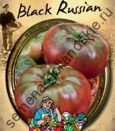 Томат сорт - Марманд - (marmande) 10 насінин (квіти) Томат сорт - Марманд - (marmande) 10 насінин