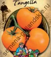Томат сорт - Марманд - (marmande) 10 насінин (рослин) Томат сорт - Марманд - (marmande) 10 насінин