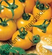 Томат сорт - Марманд - (marmande) 10 насінин (рослин) Томат сорт - Марманд - (marmande) 10 насінин