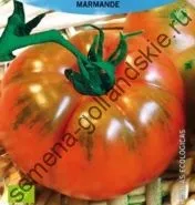 Томат сорт - Марманд - (marmande) 10 насінин (голландські) Томат сорт - Марманд - (marmande) 10 насінин