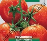 Томат сорт - Марманд - (marmande) 10 насінин (рослини) Томат сорт - Марманд - (marmande) 10 насінин