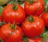 Томат сорт - Марманд - (marmande) 10 насінин (купити) Томат сорт - Марманд - (marmande) 10 насінин