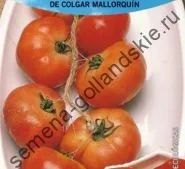 Томат сорт - Марманд - (marmande) 10 насінин (город) Томат сорт - Марманд - (marmande) 10 насінин