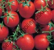Томат сорт - Марманд - (marmande) 10 насінин (Марманд) Томат сорт - Марманд - (marmande) 10 насінин
