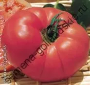 Томат сорт - Марманд - (marmande) 10 насінин (насіння) Томат сорт - Марманд - (marmande) 10 насінин