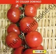 Томат сорт - Марманд - (marmande) 10 насінин (помідор) Томат сорт - Марманд - (marmande) 10 насінин