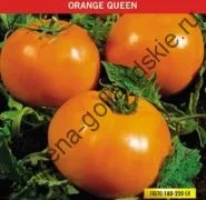 Томат сорт - Марманд - (marmande) 10 насінин (квіти) Томат сорт - Марманд - (marmande) 10 насінин