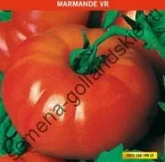 Томат сорт - Марманд - (marmande) 10 насінин (рослини) Томат сорт - Марманд - (marmande) 10 насінин