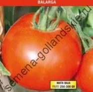 Томат сорт - Марманд - (marmande) 10 насінин (marmande) Томат сорт - Марманд - (marmande) 10 насінин