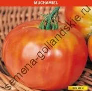 Томат сорт - Марманд - (marmande) 10 насінин (магазин) Томат сорт - Марманд - (marmande) 10 насінин
