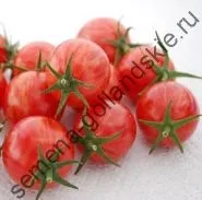 Томат сорт - Марманд - (marmande) 10 насінин (сад) Томат сорт - Марманд - (marmande) 10 насінин