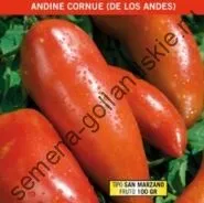 Томат сорт - Марманд - (marmande) 10 насінин (куплю) Томат сорт - Марманд - (marmande) 10 насінин
