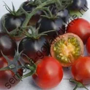 Томат сорт - Марманд - (marmande) 10 насінин (насіння) Томат сорт - Марманд - (marmande) 10 насінин