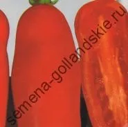 Томат сорт - Марманд - (marmande) 10 насінин (сад) Томат сорт - Марманд - (marmande) 10 насінин