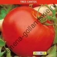 Томат сорт - Марманд - (marmande) 10 насінин (помідор) Томат сорт - Марманд - (marmande) 10 насінин