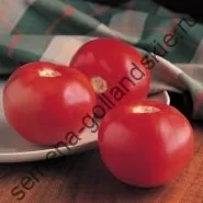 Томат сорт - Марманд - (marmande) 10 насінин (насіння) Томат сорт - Марманд - (marmande) 10 насінин