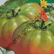 Томат сорт - Марманд - (marmande) 10 насінин (онлайн) Томат сорт - Марманд - (marmande) 10 насінин