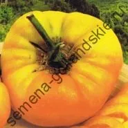 Томат сорт - Марманд - (marmande) 10 насінин (томат) Томат сорт - Марманд - (marmande) 10 насінин