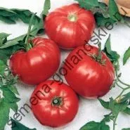 Томат сорт - Марманд - (marmande) 10 насінин (інтернет) Томат сорт - Марманд - (marmande) 10 насінин