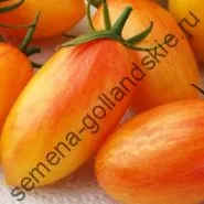Томат сорт - Марманд - (marmande) 10 насінин (рослини) Томат сорт - Марманд - (marmande) 10 насінин