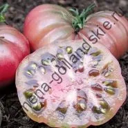 Томат сорт - Марманд - (marmande) 10 насінин (онлайн) Томат сорт - Марманд - (marmande) 10 насінин