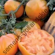 Томат сорт - Марманд - (marmande) 10 насінин (онлайн) Томат сорт - Марманд - (marmande) 10 насінин