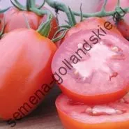 Томат сорт - Марманд - (marmande) 10 насінин (насіння) Томат сорт - Марманд - (marmande) 10 насінин