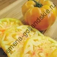 Томат сорт - Марманд - (marmande) 10 насінин (насіння) Томат сорт - Марманд - (marmande) 10 насінин