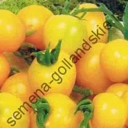 Томат сорт - Марманд - (marmande) 10 насінин (куплю) Томат сорт - Марманд - (marmande) 10 насінин