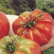 Томат сорт - Марманд - (marmande) 10 насінин (купити) Томат сорт - Марманд - (marmande) 10 насінин