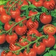 Томат сорт - Марманд - (marmande) 10 насінин (насіння) Томат сорт - Марманд - (marmande) 10 насінин