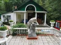 Тисо-самшитовий гай в Первомайськ - як дістатися, час роботи, ціна, тисо-самшітовая гай взимку (сочи) Тисо-самшитовий гай в Первомайськ - як дістатися, час роботи, ціна, тисо-самшітовая гай взимку