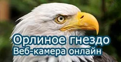 Топ 100 найкращих фантастичних книг світу, світ майбутнього