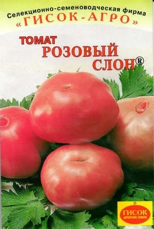 Томат рожевий слон опис і фото сорти, методи його вирощування (опис) Томат рожевий слон опис і фото сорти, методи його вирощування