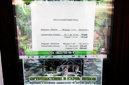 Тисо-самшитовий гай (інструкція із застосування) (застосування) Тисо-самшитовий гай (інструкція із застосування)