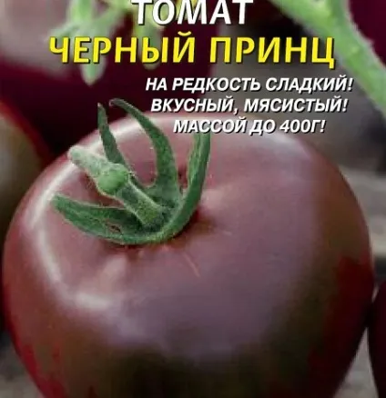 Томат чорний принц характеристика та опис сорту помідорів фото, відгуки та вирощування (чорний) Томат чорний принц характеристика та опис сорту помідорів фото, відгуки та вирощування