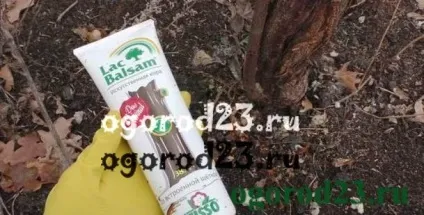 Тріщини на деревах - обробка та лікування (тріщини) Тріщини на деревах - обробка та лікування