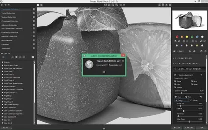 Topaz labs, скачати безкоштовно (професійні плагіни для фото) Topaz labs, скачати безкоштовно