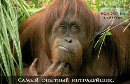 Трейдинг з нуля або як почати новачкові на nyse (новачкові) Трейдинг з нуля або як почати новачкові на nyse